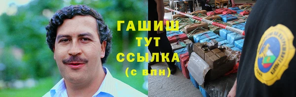 индика Балахна