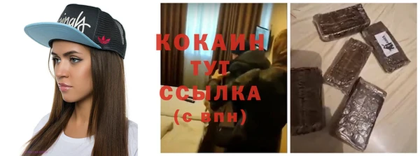 индика Балахна