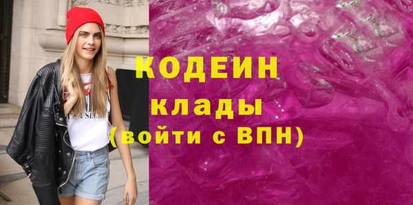 индика Балахна