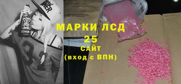 индика Балахна